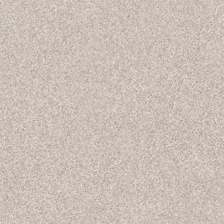 Shaw Floors Make It Mine I — Desert Light · 5E255-00121 — flooring selection with LeviArs Design & Remodeling