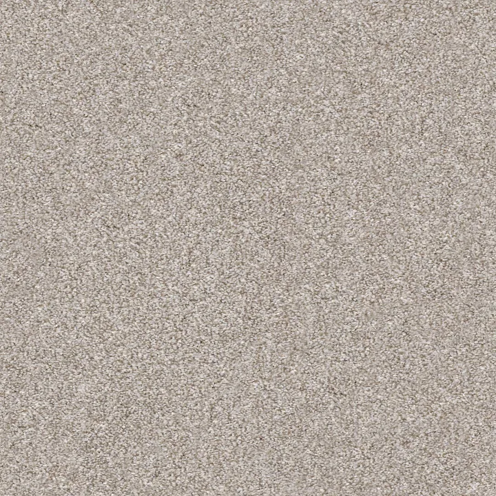 Shaw Floors Make It Mine I — Winter Dunes · 5E255-00123 — flooring selection with LeviArs Design & Remodeling