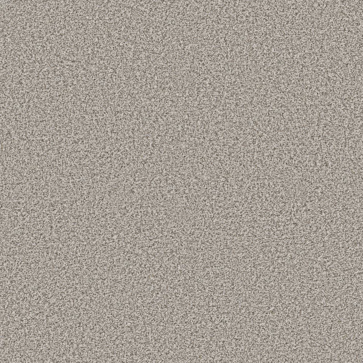 Shaw Floors Make It Work — Ambiance · E9716-00176 — flooring selection with LeviArs Design & Remodeling