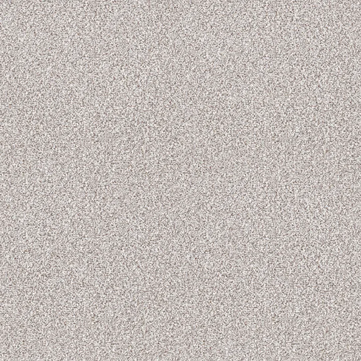 Shaw Floors Make It Work — Baby'S Breath · E9716-00170 — flooring selection with LeviArs Design & Remodeling