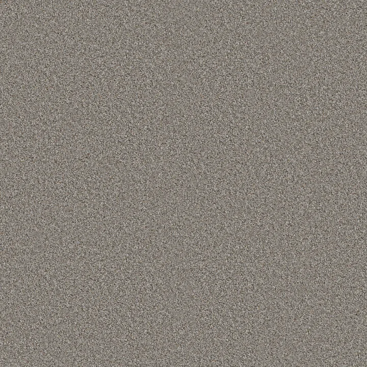 Shaw Floors Make It Work — Chat Room · E9716-00577 — flooring selection with LeviArs Design & Remodeling