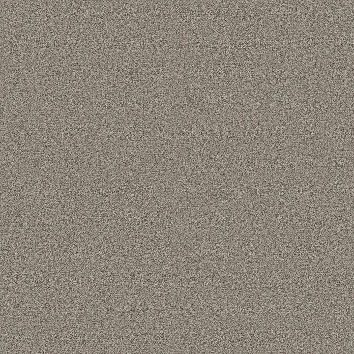 Shaw Floors Make It Work — Cobble Stone · E9716-00573 — flooring selection with LeviArs Design & Remodeling