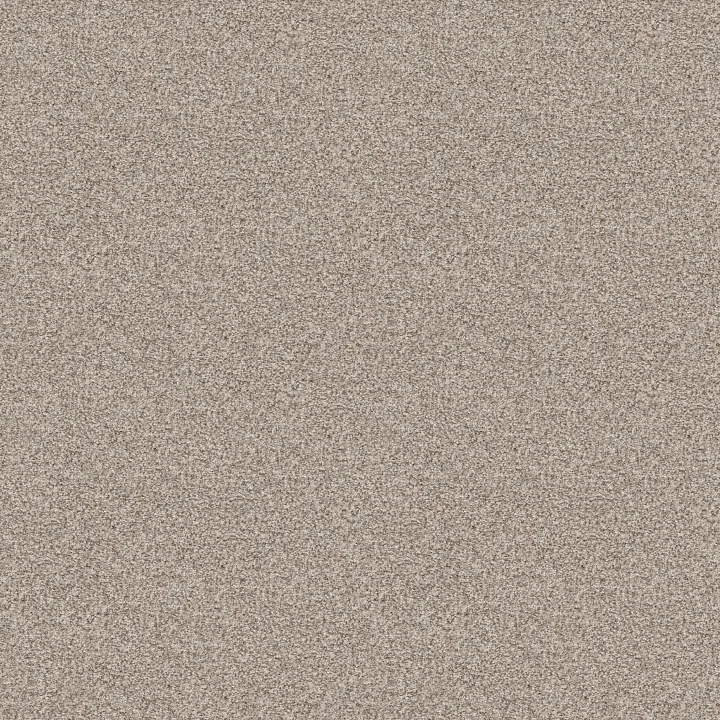 Shaw Floors Make It Work — Cocoa Butter · E9716-00177 — flooring selection with LeviArs Design & Remodeling