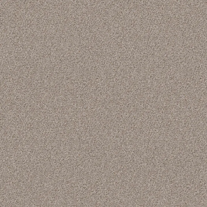 Shaw Floors Make It Work — Nature'S Essent · E9716-00175 — flooring selection with LeviArs Design & Remodeling