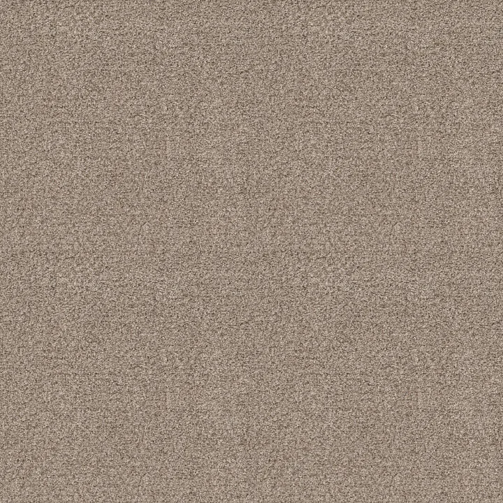 Shaw Floors Make It Work — Sands Of Time · E9716-00770 — flooring selection with LeviArs Design & Remodeling