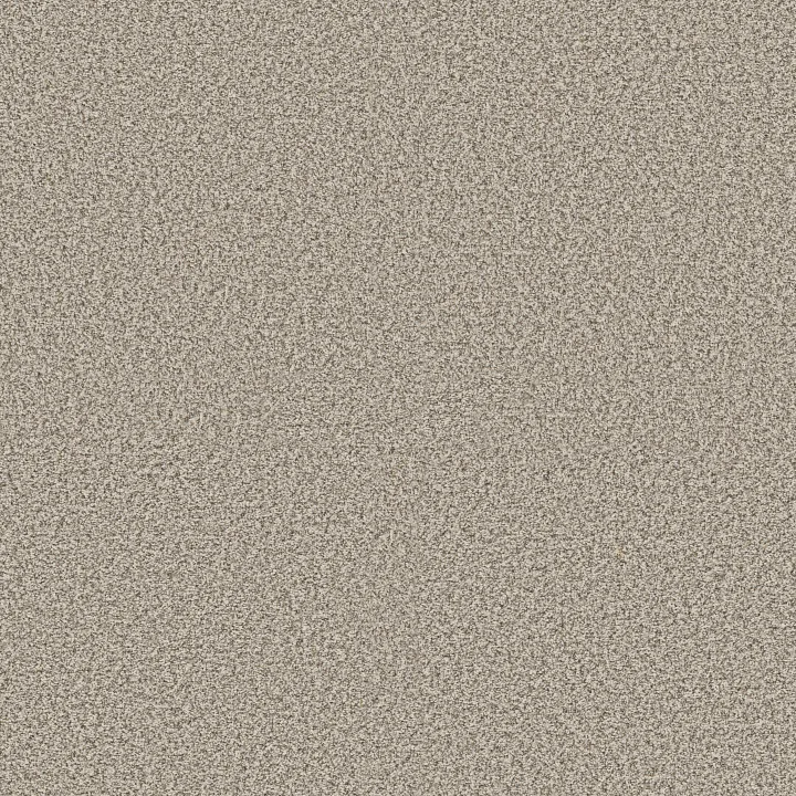 Shaw Floors Make It Work — Scenic Drive · E9716-00172 — flooring selection with LeviArs Design & Remodeling