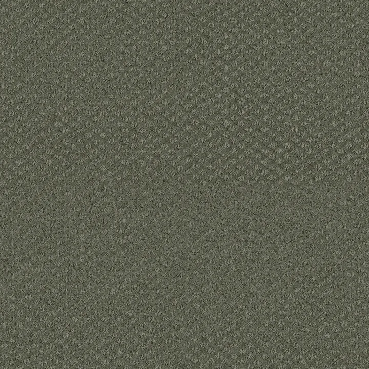 Shaw Floors Midland Charm — Cedar Glen · 5E818-00350 — flooring selection with LeviArs Design & Remodeling