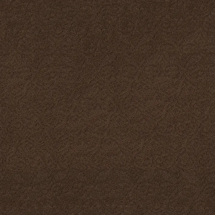 Shaw Floors Modern Amenities — Bison · CCP43-00707 — flooring selection with LeviArs Design & Remodeling