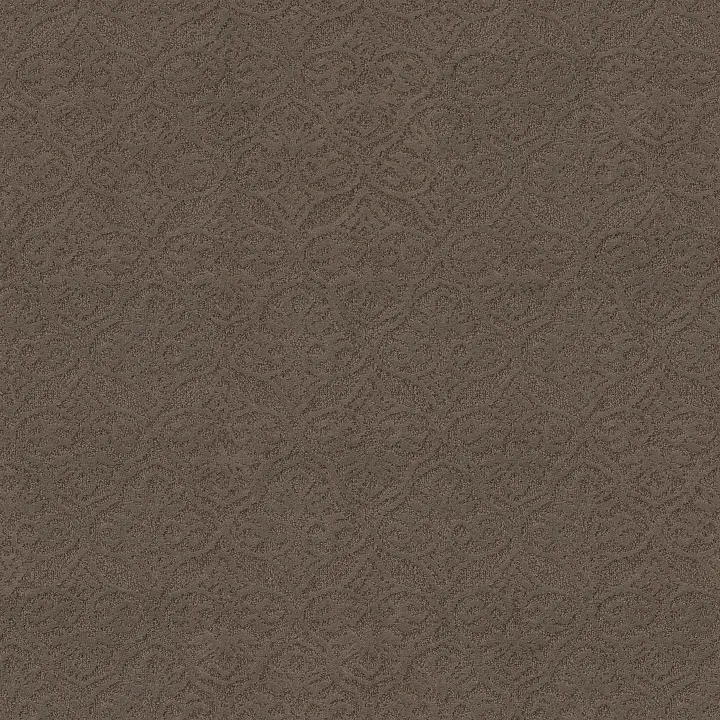Shaw Floors Modern Amenities — Chinchilla · CCP43-00526 — flooring selection with LeviArs Design & Remodeling