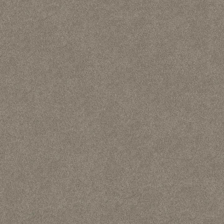 Shaw Floors Keen Senses II — Lady In Gray · E9715-00590 — flooring selection with LeviArs Design & Remodeling