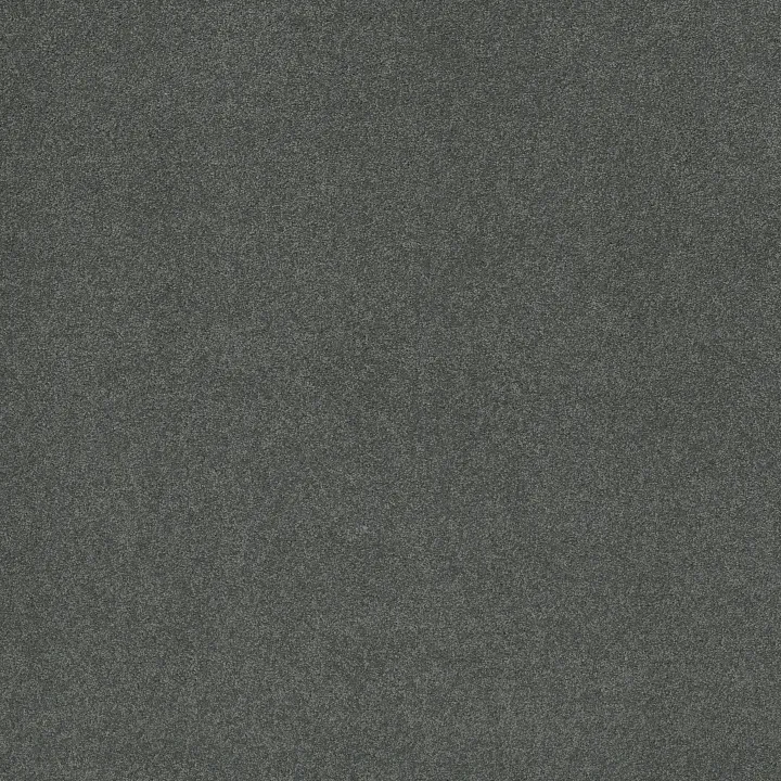 Shaw Floors Keen Senses II — Night Club · E9715-00592 — flooring selection with LeviArs Design & Remodeling
