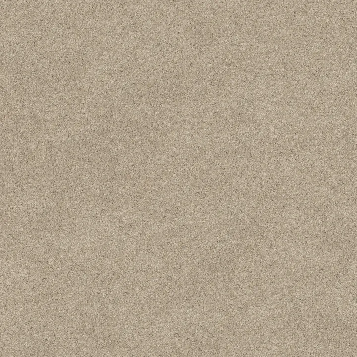 Shaw Floors Keen Senses II — Barista · E9715-00191 — flooring selection with LeviArs Design & Remodeling