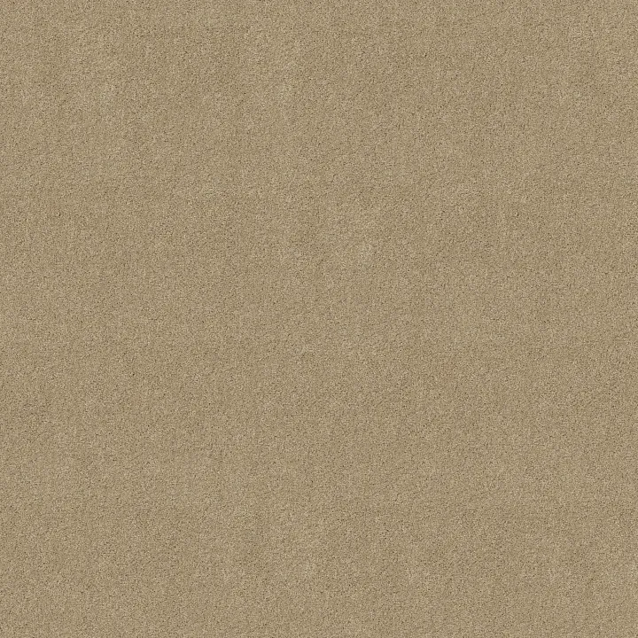 Shaw Floors Loyal Beauty III — Beach Walk · EA164-00126 — flooring selection with LeviArs Design & Remodeling