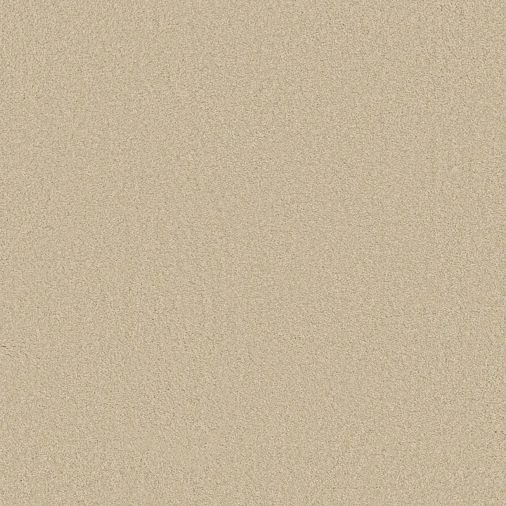 Shaw Floors Loyal Beauty III — Candlewick Glow · EA164-00101 — flooring selection with LeviArs Design & Remodeling