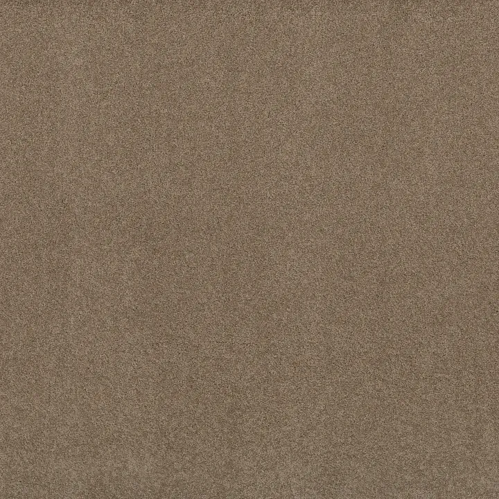 Shaw Floors Keen Senses II — Grounded · E9715-00796 — flooring selection with LeviArs Design & Remodeling