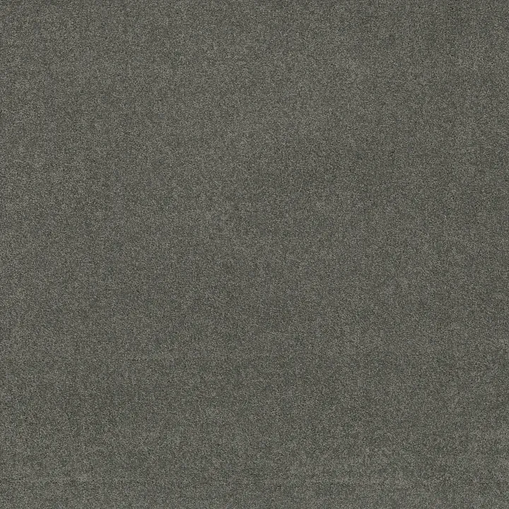Shaw Floors My Choice III — Charcoal · E0652-00551 — flooring selection with LeviArs Design & Remodeling