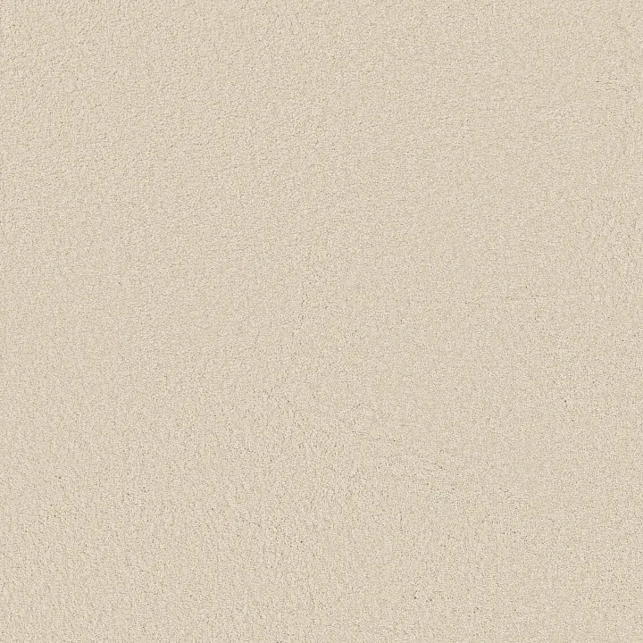 Shaw Floors Loyal Beauty III — China Pearl · EA164-00100 — flooring selection with LeviArs Design & Remodeling