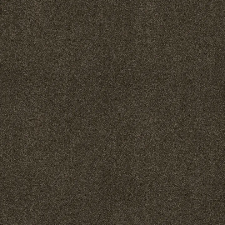 Shaw Floors My Choice III — Chocolate · E0652-00758 — flooring selection with LeviArs Design & Remodeling
