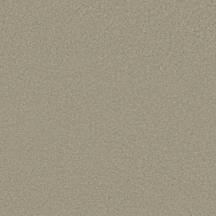 Shaw Floors Loyal Beauty III — City Scape · EA164-00109 — flooring selection with LeviArs Design & Remodeling