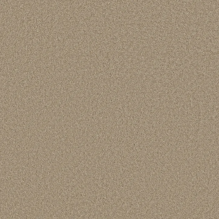 Shaw Floors Loyal Beauty III — Clay Stone · EA164-00108 — flooring selection with LeviArs Design & Remodeling