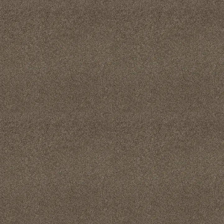 Shaw Floors My Choice III — Flax · E0652-00751 — flooring selection with LeviArs Design & Remodeling