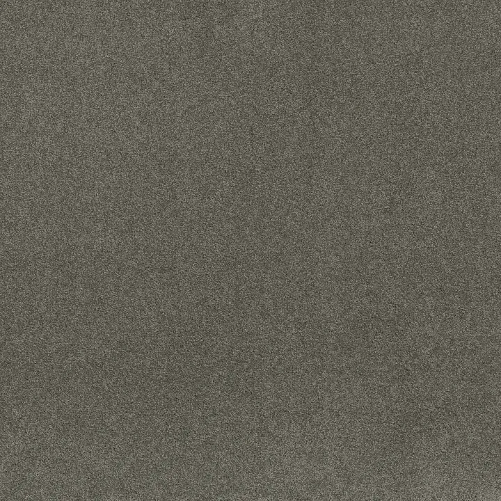 Shaw Floors My Choice III — Fog · E0652-00753 — flooring selection with LeviArs Design & Remodeling