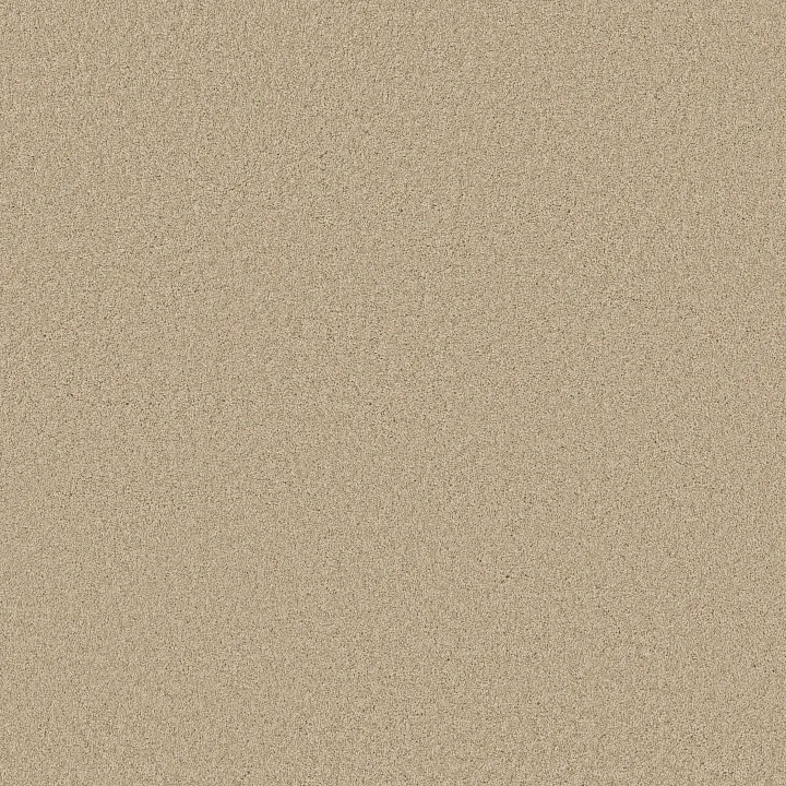 Shaw Floors Loyal Beauty III — French Linen · EA164-00103 — flooring selection with LeviArs Design & Remodeling
