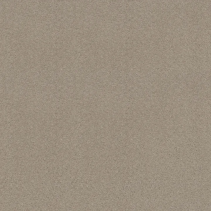 Shaw Floors My Choice III — Glaze · E0652-00154 — flooring selection with LeviArs Design & Remodeling