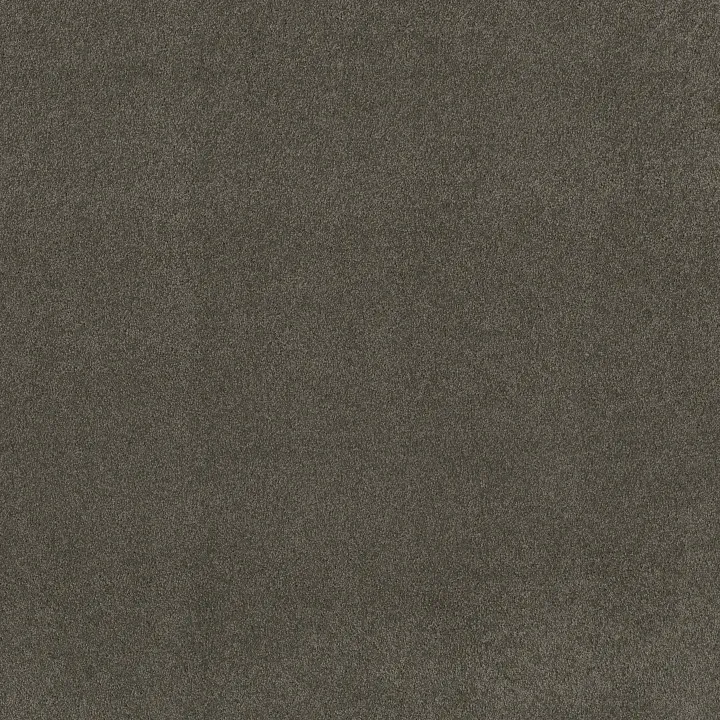 Shaw Floors My Choice III — Graphite · E0652-00754 — flooring selection with LeviArs Design & Remodeling
