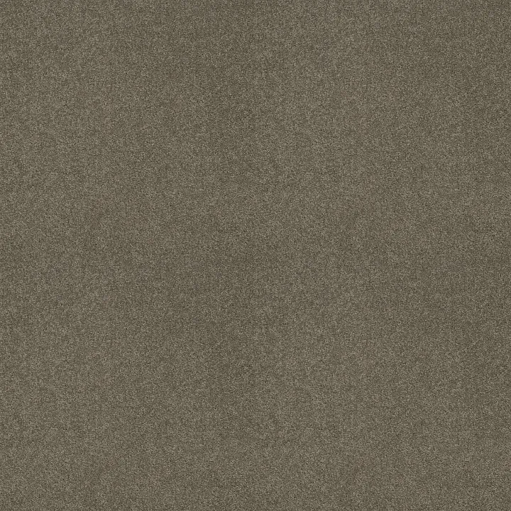 Shaw Floors Loyal Beauty III — Grey Flannel · EA164-00501 — flooring selection with LeviArs Design & Remodeling