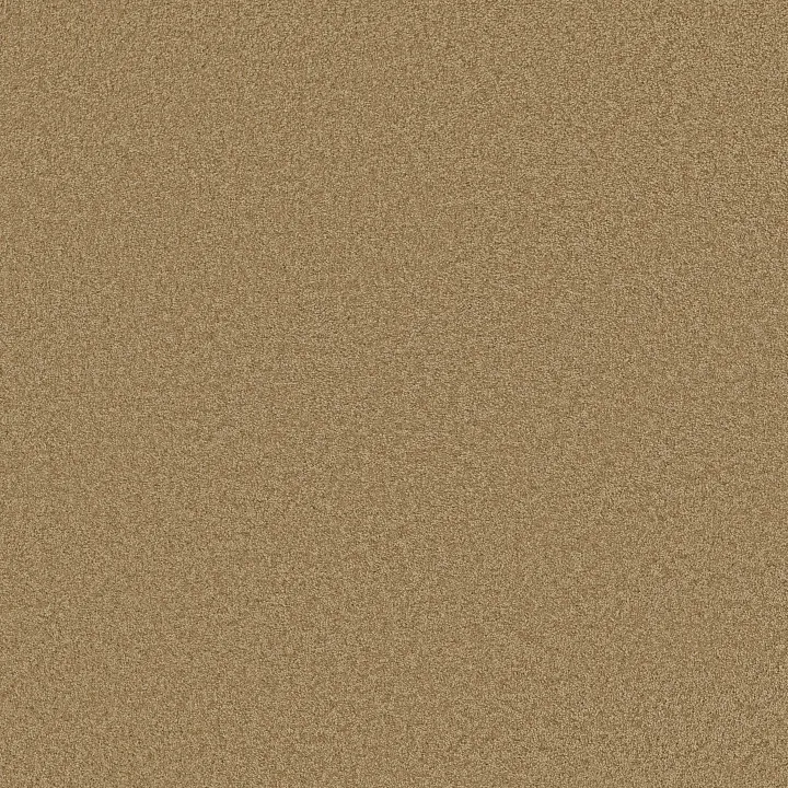 Shaw Floors Keen Senses II — Warmth · E9715-00782 — flooring selection with LeviArs Design & Remodeling