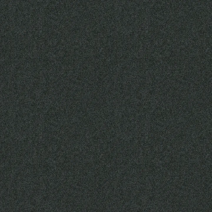 Shaw Floors My Choice III — Indigo · E0652-00451 — flooring selection with LeviArs Design & Remodeling