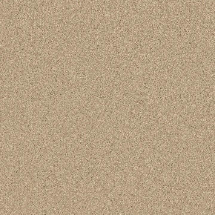 Shaw Floors Loyal Beauty III — Mesa · EA164-00105 — flooring selection with LeviArs Design & Remodeling