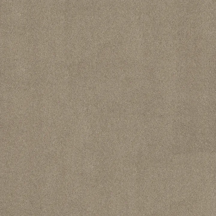 Shaw Floors My Choice III — Natural · E0652-00153 — flooring selection with LeviArs Design & Remodeling