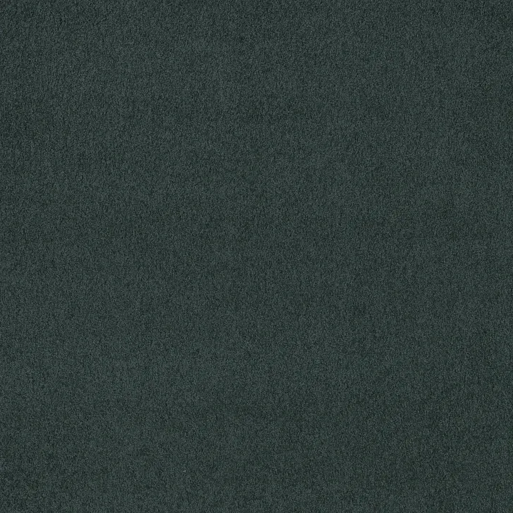 Shaw Floors Loyal Beauty III — Patchwork · EA164-00401 — flooring selection with LeviArs Design & Remodeling