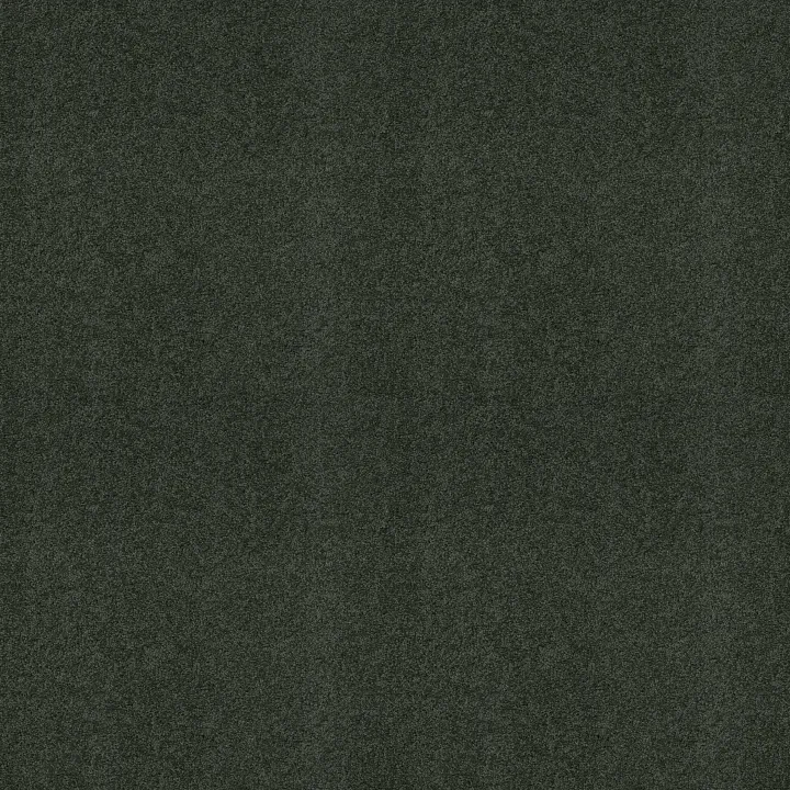 Shaw Floors My Choice III — Peaceful Garden · E0652-00352 — flooring selection with LeviArs Design & Remodeling