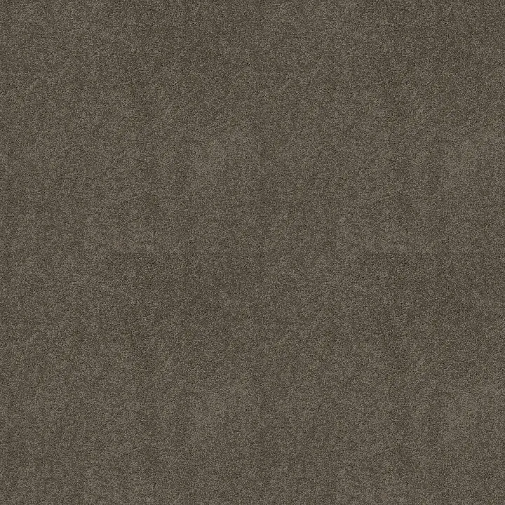 Shaw Floors My Choice III — Rustic Elegance · E0652-00752 — flooring selection with LeviArs Design & Remodeling