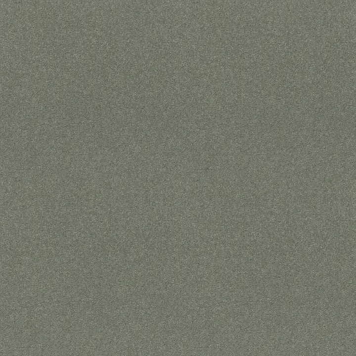 Shaw Floors My Choice III — Silver Sage · E0652-00350 — flooring selection with LeviArs Design & Remodeling