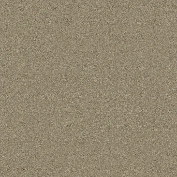 Shaw Floors Loyal Beauty III — Smooth Slate · EA164-00704 — flooring selection with LeviArs Design & Remodeling