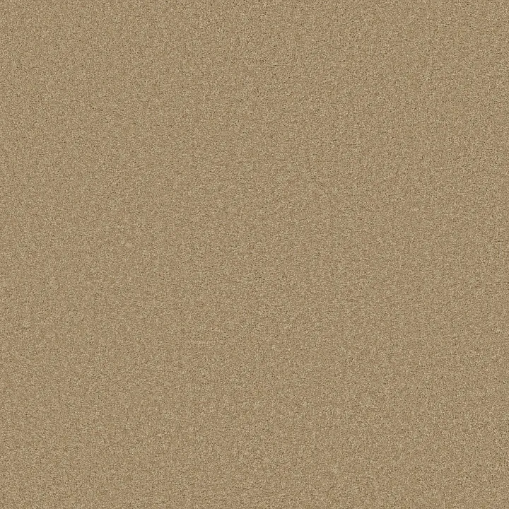 Shaw Floors Loyal Beauty III — Taffeta · EA164-00107 — flooring selection with LeviArs Design & Remodeling