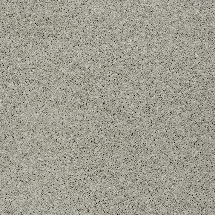 Shaw Floors Keen Senses II — Mindful · E9715-00190 — flooring selection with LeviArs Design & Remodeling