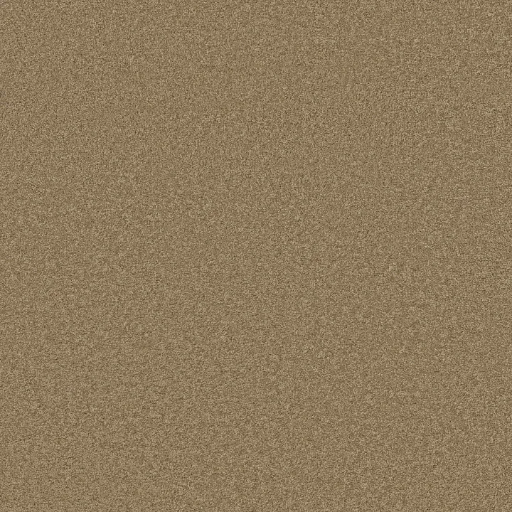 Shaw Floors Loyal Beauty III — Twig · EA164-00702 — flooring selection with LeviArs Design & Remodeling