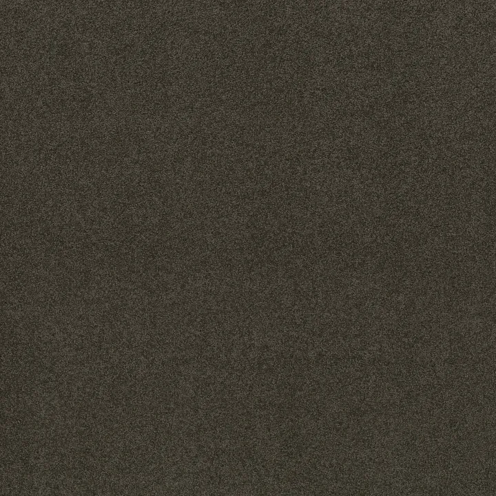 Shaw Floors My Choice III — Vintage Leather · E0652-00755 — flooring selection with LeviArs Design & Remodeling
