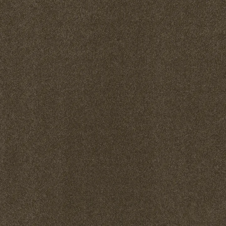 Shaw Floors My Choice III — Weathered Wood · E0652-00759 — flooring selection with LeviArs Design & Remodeling
