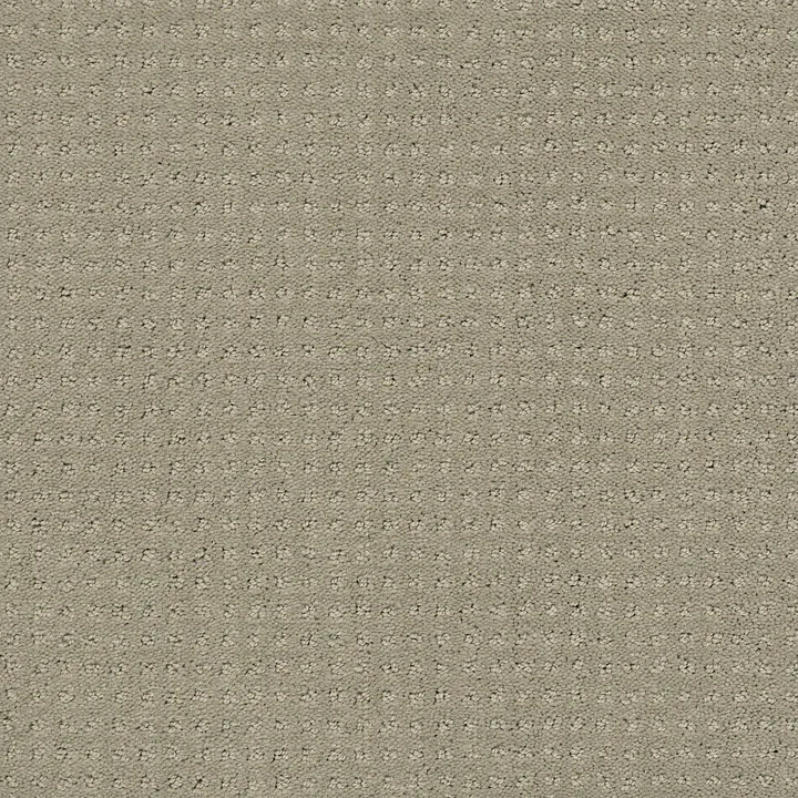 Shaw Floors My Choice Pattern — Ash · E0653-00550 — flooring selection with LeviArs Design & Remodeling