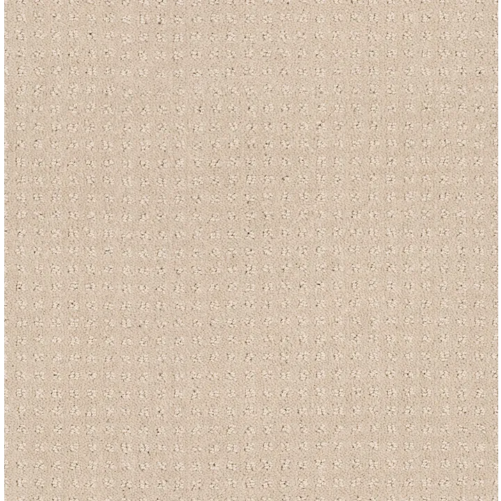 Shaw Floors My Choice Pattern — Bare Essence · E0653-00151 — flooring selection with LeviArs Design & Remodeling
