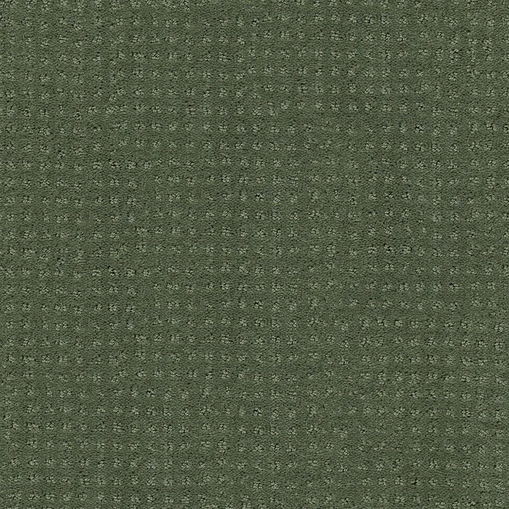 Shaw Floors My Choice Pattern — Bay Laurel · E0653-00351 — flooring selection with LeviArs Design & Remodeling