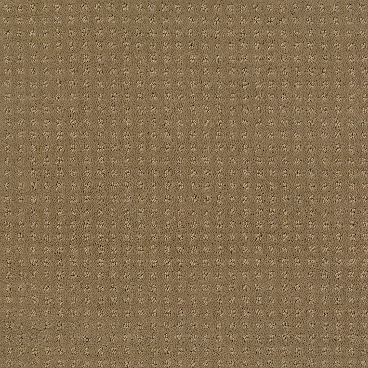 Shaw Floors My Choice Pattern — Cappuccino · E0653-00756 — flooring selection with LeviArs Design & Remodeling