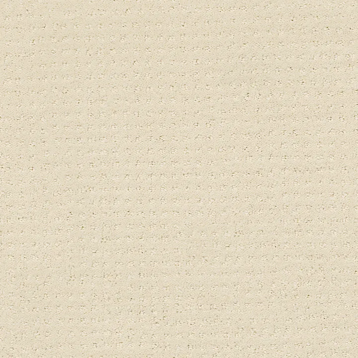 Shaw Floors Loyal Beauty Pattern — China Pearl · EA183-00100 — flooring selection with LeviArs Design & Remodeling