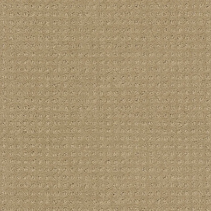 Shaw Floors Loyal Beauty Pattern — Clay Stone · EA183-00108 — flooring selection with LeviArs Design & Remodeling